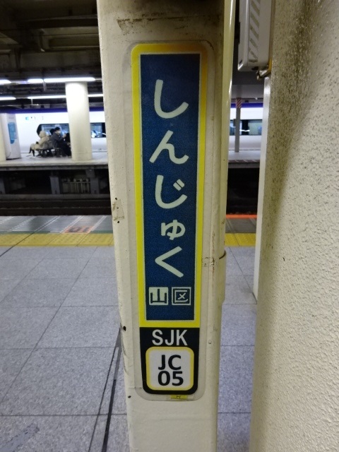 柱取り付け式 (12番線東京方10両停車位置)