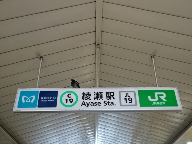 第1種 (東口) [南側]