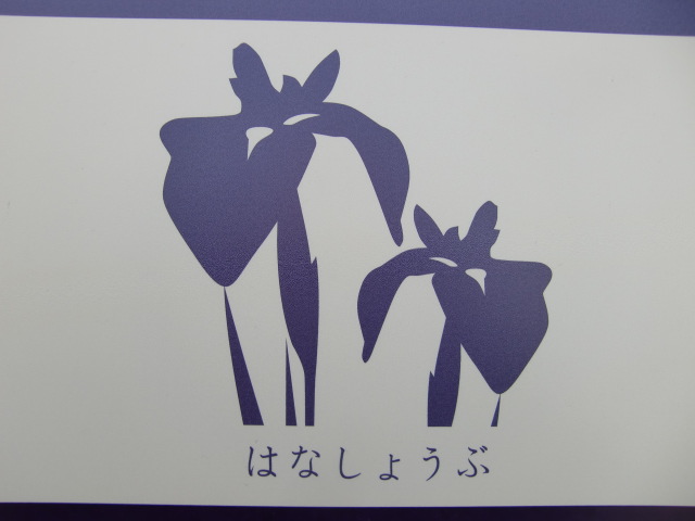 はなしょうぶ