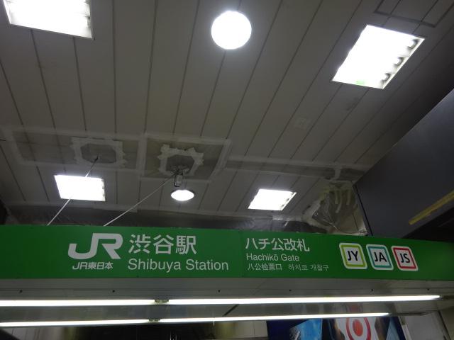 第1種 (ハチ公改札口)