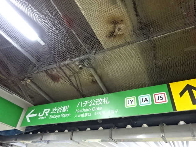 第1種 (ハチ公改札口)